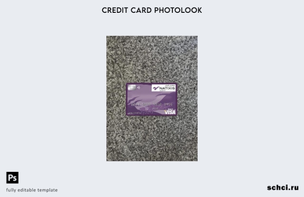 цифровая загрузка Алжир Natixis Algerie Bank Visa Card фотообраз переднего шабло